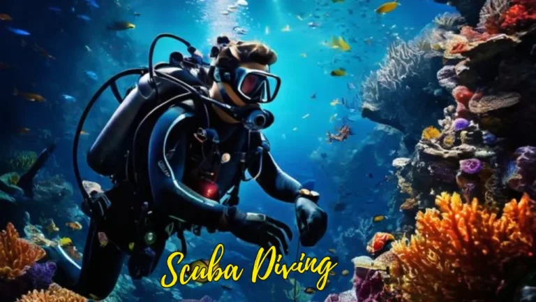 Grand Island Scuba Diving Goa